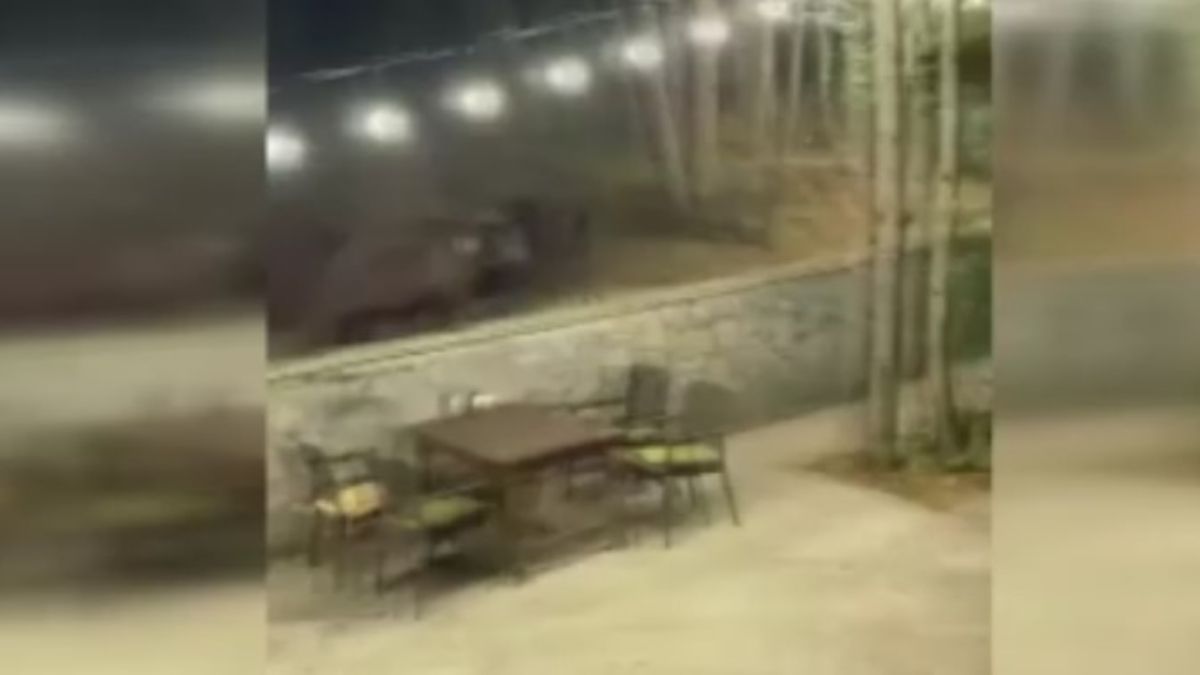 Ankara’da aç kalan ayı restorana indi